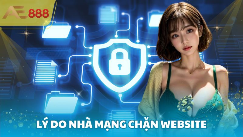 Lý do nhà mạng chặn website